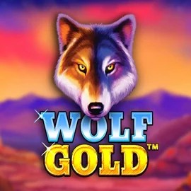 Try Wolf Gold slot by Pragmatic Play on pelikaanifi.com – logo image